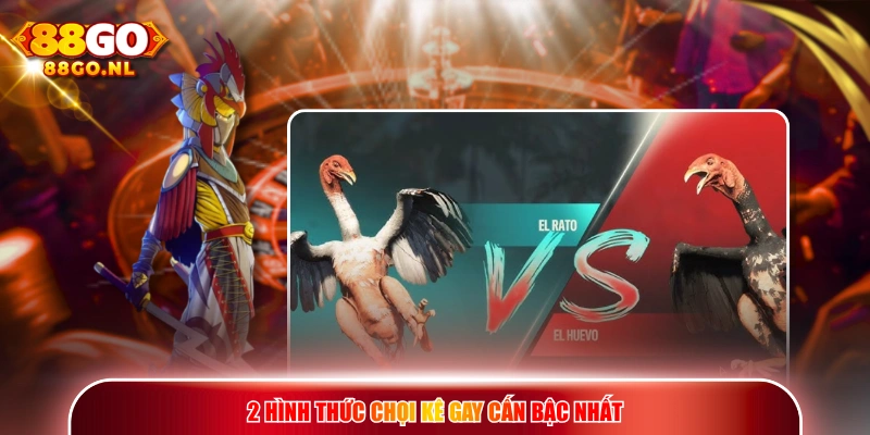 2 hình thức chọi kê gay cấn bậc nhất