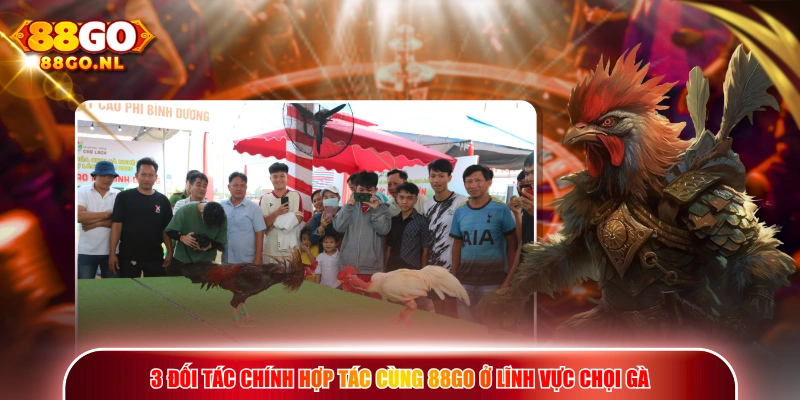 3 đối tác chính hợp tác cùng 88GO ở lĩnh vực chọi gà
