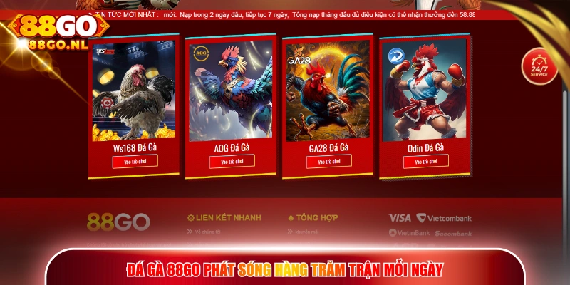 Đá Gà 88GO phát sóng hàng trăm trận mỗi ngày
