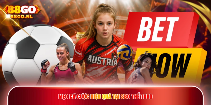 Mẹo cá cược hiệu quả tại SBO Thể Thao