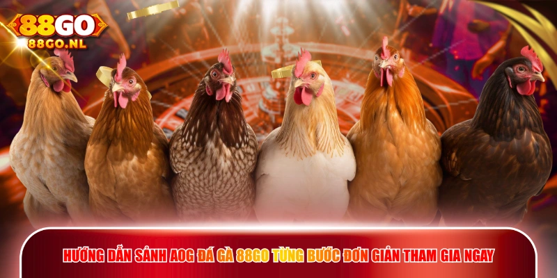 Hướng dẫn sảnh AOG Đá Gà 88GO từng bước đơn giản tham gia ngay.