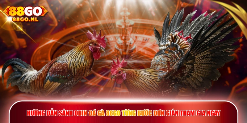 Hướng dẫn sảnh Odin Đá Gà 88GO từng bước đơn giản tham gia ngay.