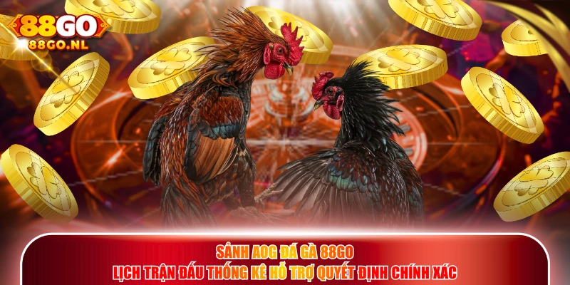 Sảnh AOG Đá Gà 88GO lịch trận đấu thống kê hỗ trợ quyết định chính xác.