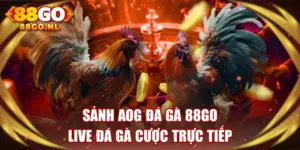 Sảnh AOG Đá Gà