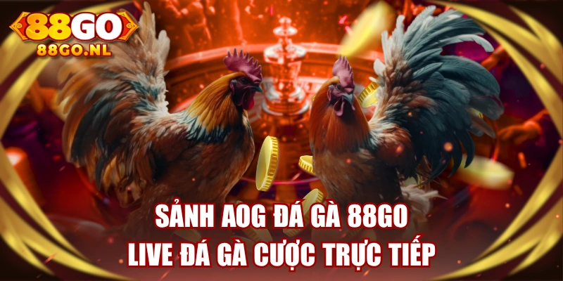 Sảnh AOG Đá Gà