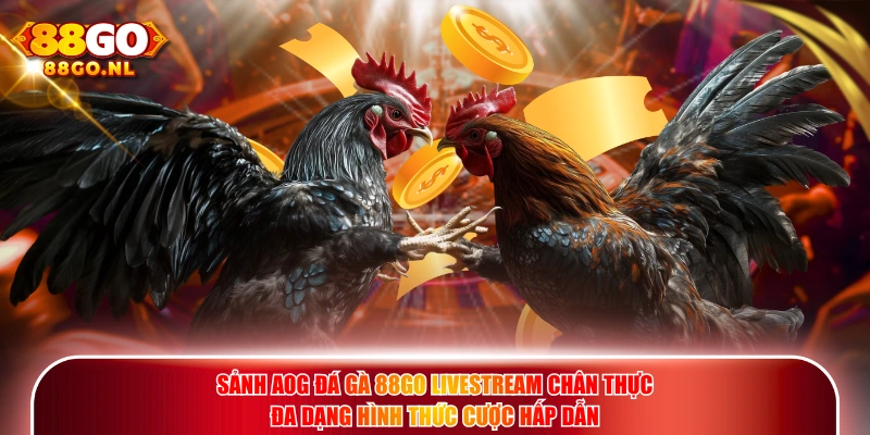 Sảnh AOG Đá Gà 88GO livestream chân thực đa dạng hình thức cược hấp dẫn.