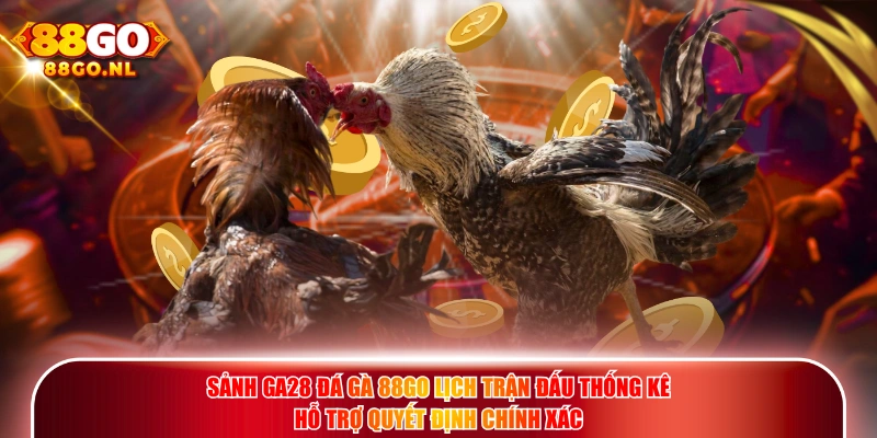 Sảnh Ga28 Đá Gà 88GO lịch trận đấu thống kê hỗ trợ quyết định chính xác.