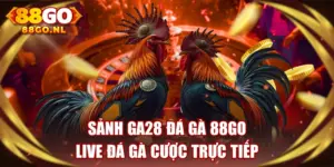 Sảnh Ga28 Đá Gà