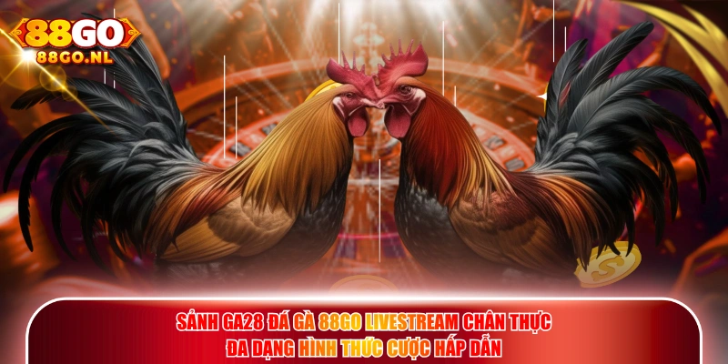 Sảnh Ga28 Đá Gà 88GO livestream chân thực đa dạng hình thức cược hấp dẫn.