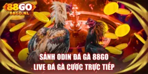 Sảnh Odin Đá Gà