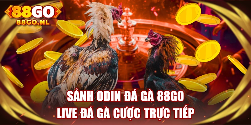 Sảnh Odin Đá Gà