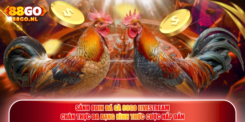 Sảnh Odin Đá Gà 88GO livestream chân thực đa dạng hình thức cược hấp dẫn.